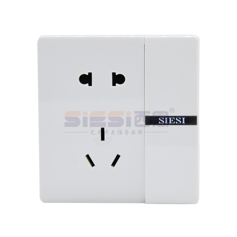10A二三极插座带单控开关