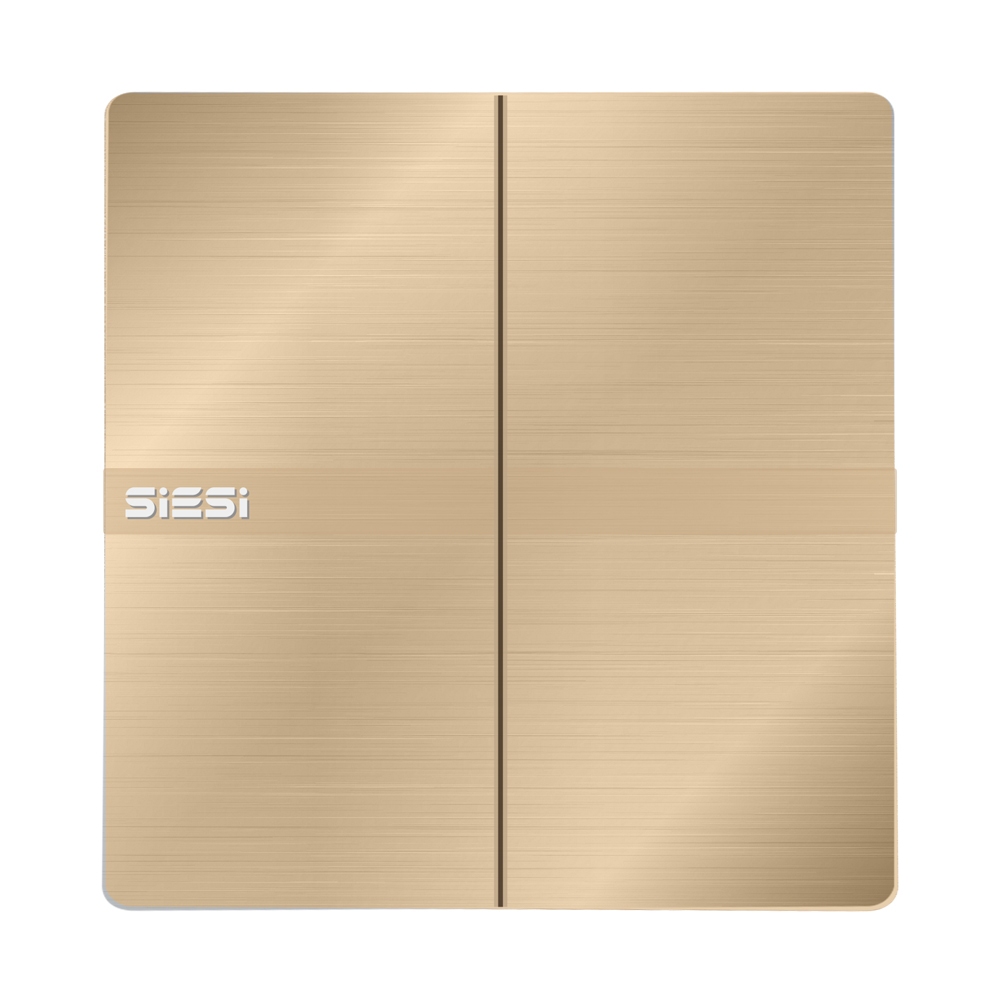 10A 二位单控开关